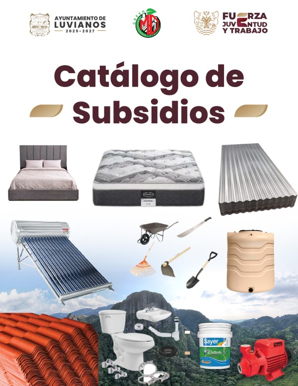 Subsidios