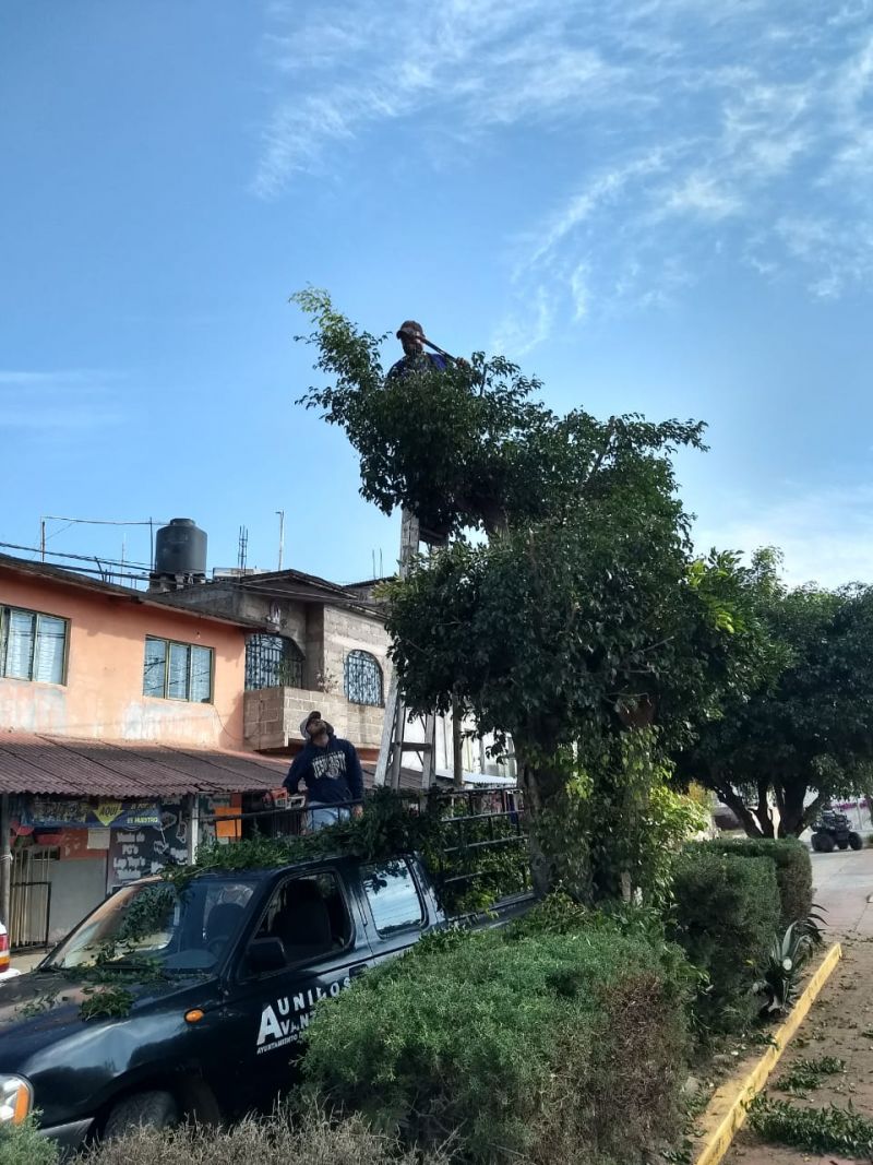 Limpieza del Camellón Colonia 12 de Diciembre