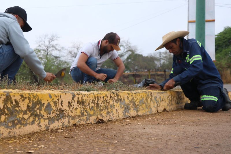 Jornada de Limpieza General.