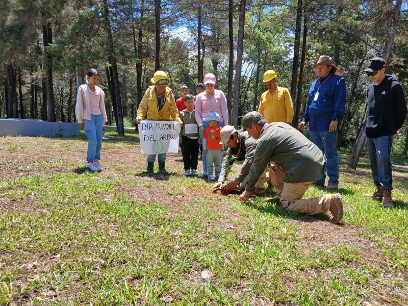En el marco del Día del Árbol, se realizó una reforestación en el Parque Estatal de Nanchititla