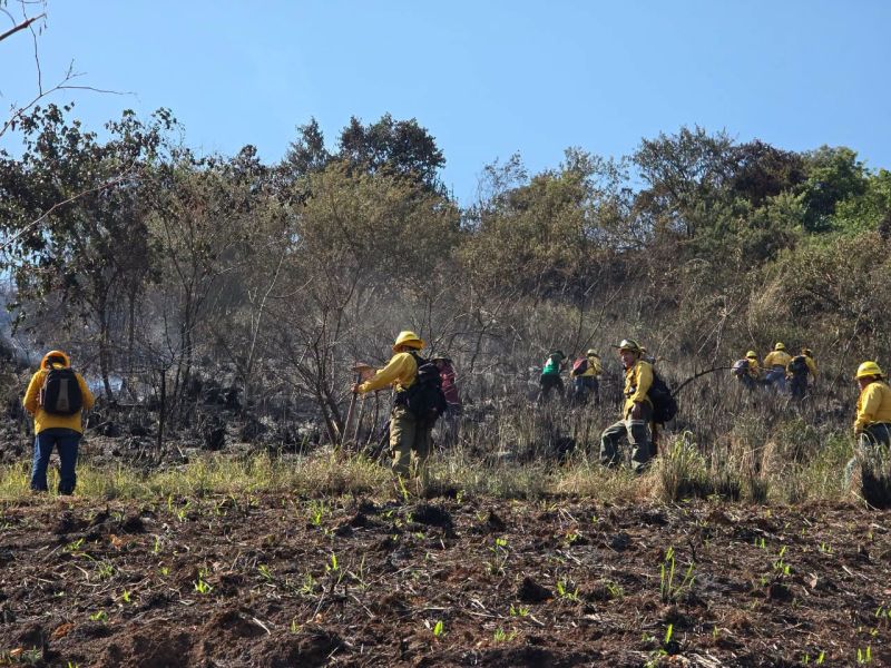 Seguimos trabajando para proteger a El Campanario